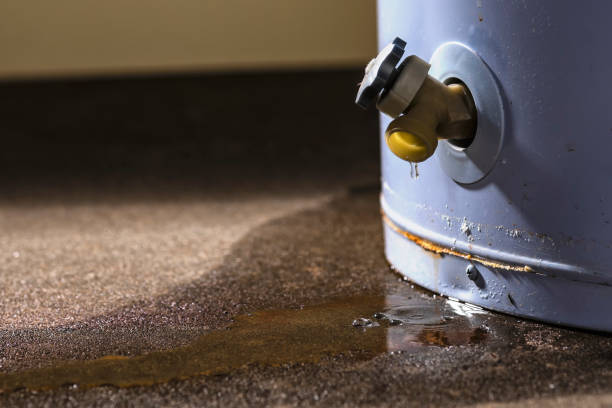 Local water damage restoration in Perezville, TX