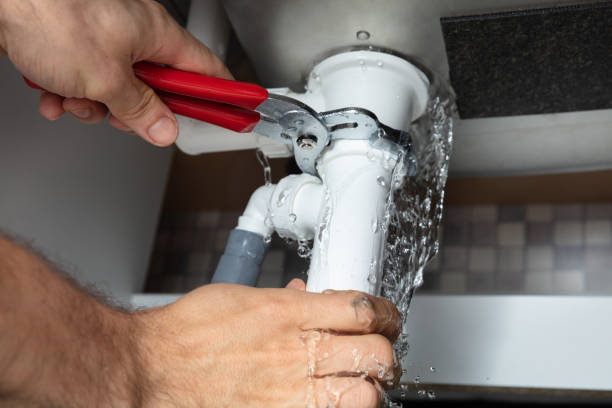 Best Mold removal after water damage  in Perezville, TX