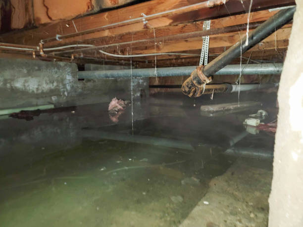 Best 24/7 water damage repair  in Perezville, TX