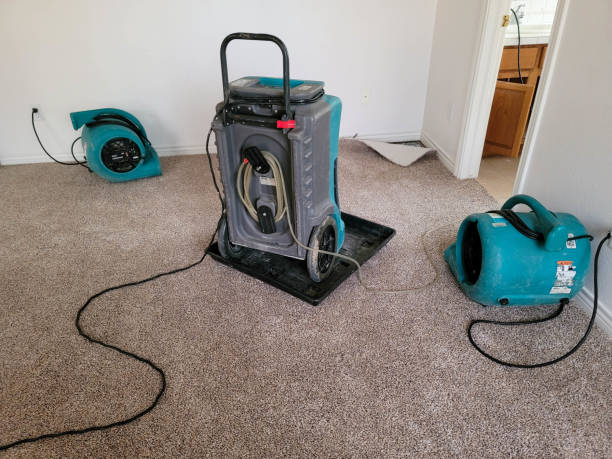 Best Water damage restoration experts  in Perezville, TX