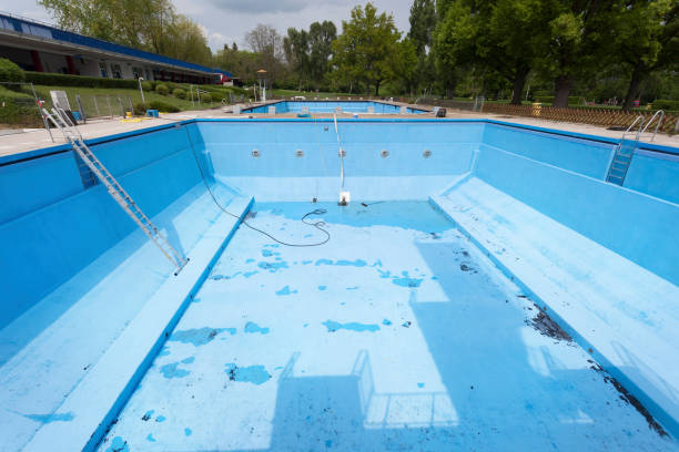 Best Basement water damage restoration  in Perezville, TX