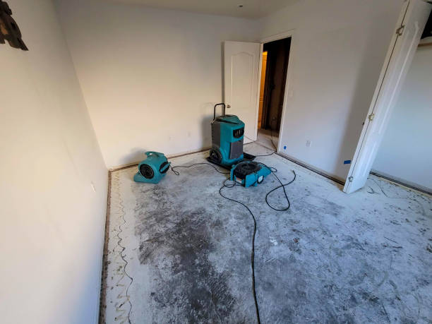 Best Water damage cleanup near me  in Perezville, TX
