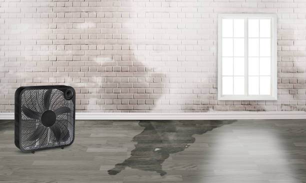 Water damage restoration insurance claims in Perezville, TX