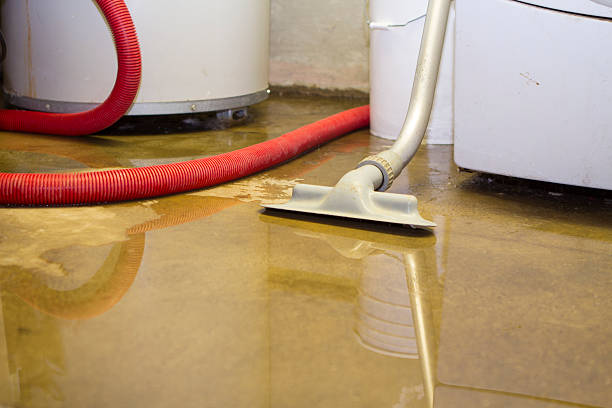 Best Flooded house restoration  in Perezville, TX