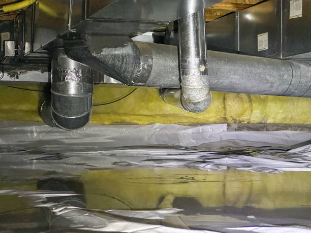 Best Carpet water damage restoration  in Perezville, TX