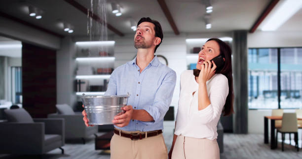 Best Water damage contractors near me  in Perezville, TX